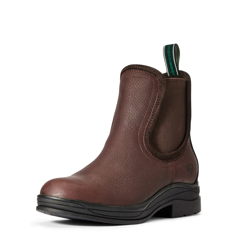Ariat Keswick Waterproof Boot in  Dark Brown-1